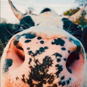 Meet your Posher, Ruth